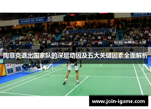 陶菲克退出国家队的深层动因及五大关键因素全面解析 陶菲克退出国家队的深层动因及五大关键因素全面解析